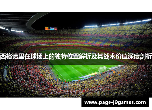 西格诺里在球场上的独特位置解析及其战术价值深度剖析 西格诺里在球场上的独特位置解析及其战术价值深度剖析