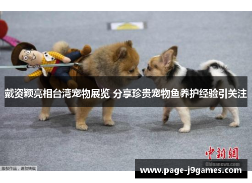 戴资颖亮相台湾宠物展览 分享珍贵宠物鱼养护经验引关注 戴资颖亮相台湾宠物展览 分享珍贵宠物鱼养护经验引关注